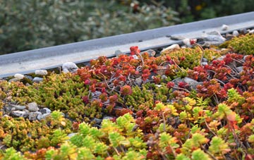 the cost of Patmore Heath green roof installation