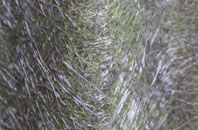 Patmore Heath fibreglass roof work