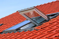 Patmore Heath roof window